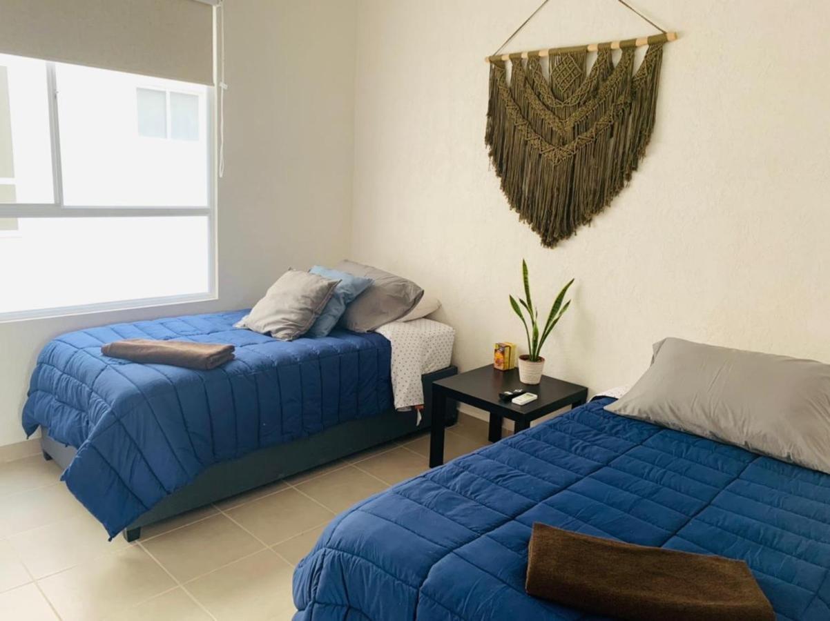 Franks House Apartment "Shared House" Cancun Dış mekan fotoğraf